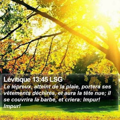 Lévitique 13:45 LSG Bible Verse Image