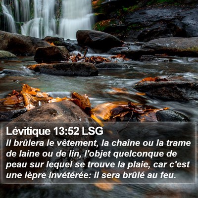 Lévitique 13:52 LSG Bible Verse Image