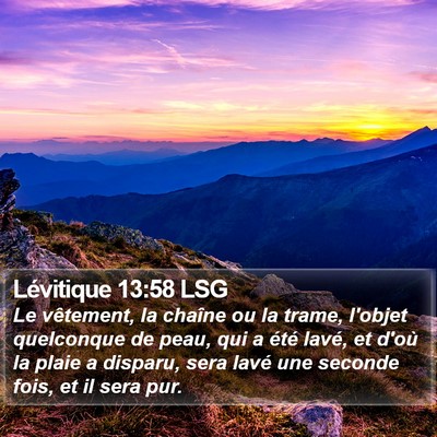 Lévitique 13:58 LSG Bible Verse Image