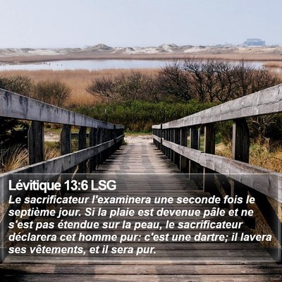 Lévitique 13:6 LSG Bible Verse Image