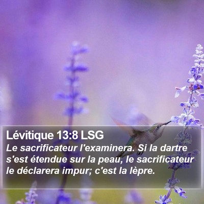 Lévitique 13:8 LSG Bible Verse Image