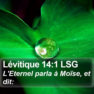 Lévitique 14:1 LSG Bible Verse Image