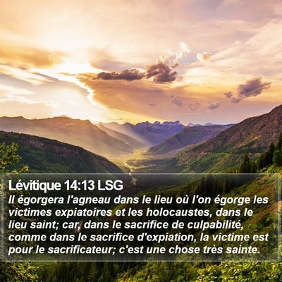 Lévitique 14:13 LSG Bible Verse Image