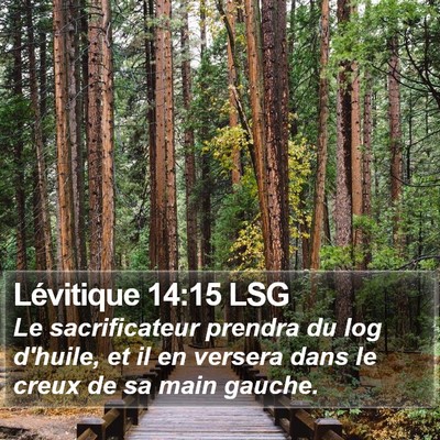 Lévitique 14:15 LSG Bible Verse Image