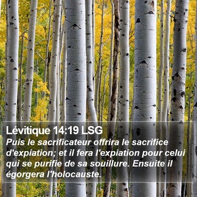 Lévitique 14:19 LSG Bible Verse Image