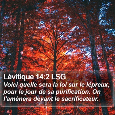 Lévitique 14:2 LSG Bible Verse Image
