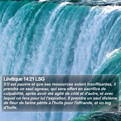 Lévitique 14:21 LSG Bible Verse Image