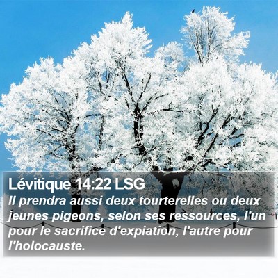 Lévitique 14:22 LSG Bible Verse Image