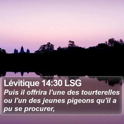 Lévitique 14:30 LSG Bible Verse Image