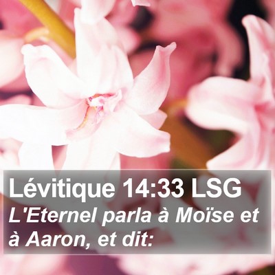 Lévitique 14:33 LSG Bible Verse Image