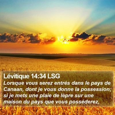 Lévitique 14:34 LSG Bible Verse Image