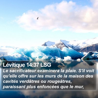 Lévitique 14:37 LSG Bible Verse Image