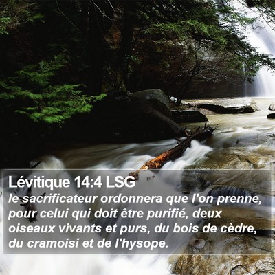 Lévitique 14:4 LSG Bible Verse Image