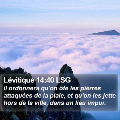 Lévitique 14:40 LSG Bible Verse Image