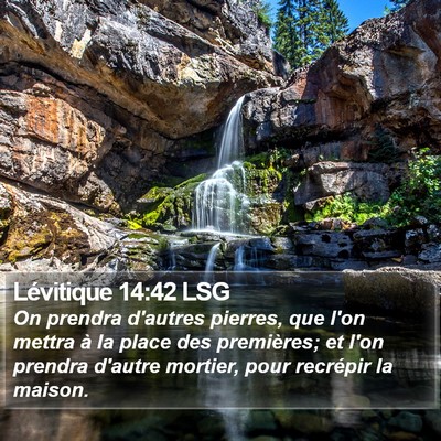 Lévitique 14:42 LSG Bible Verse Image