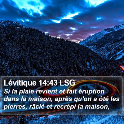 Lévitique 14:43 LSG Bible Verse Image