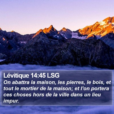 Lévitique 14:45 LSG Bible Verse Image