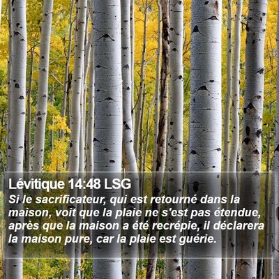 Lévitique 14:48 LSG Bible Verse Image