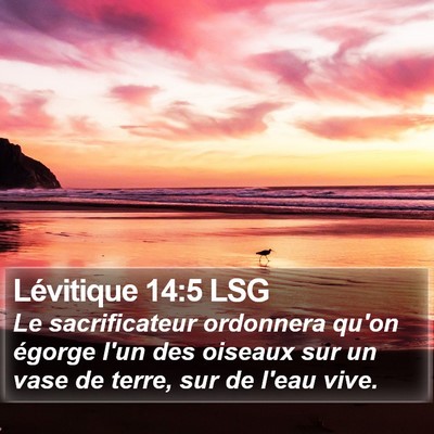 Lévitique 14:5 LSG Bible Verse Image