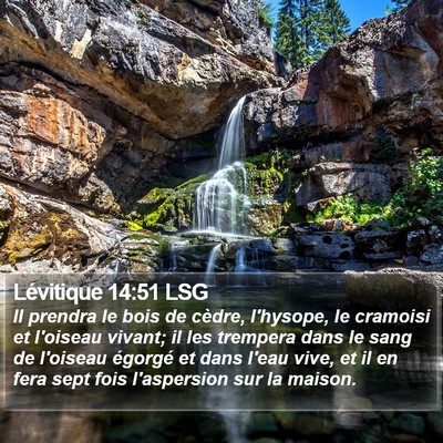 Lévitique 14:51 LSG Bible Verse Image