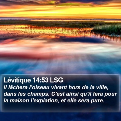 Lévitique 14:53 LSG Bible Verse Image