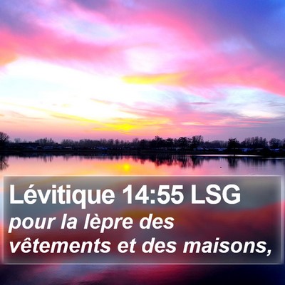 Lévitique 14:55 LSG Bible Verse Image