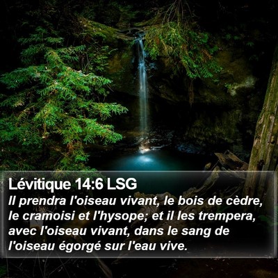 Lévitique 14:6 LSG Bible Verse Image