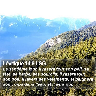 Lévitique 14:9 LSG Bible Verse Image