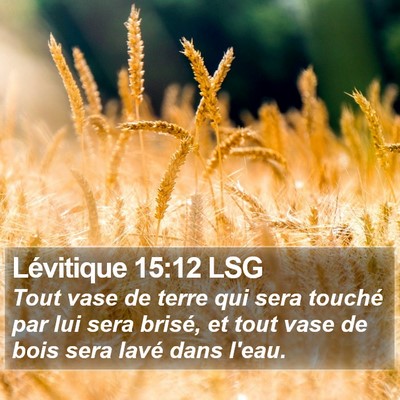 Lévitique 15:12 LSG Bible Verse Image