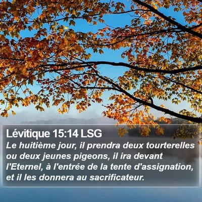 Lévitique 15:14 LSG Bible Verse Image