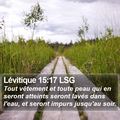 Lévitique 15:17 LSG Bible Verse Image