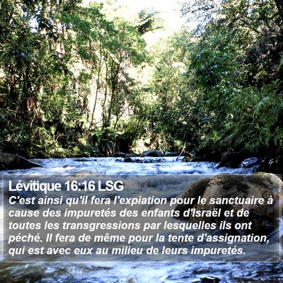Lévitique 16:16 LSG Bible Verse Image