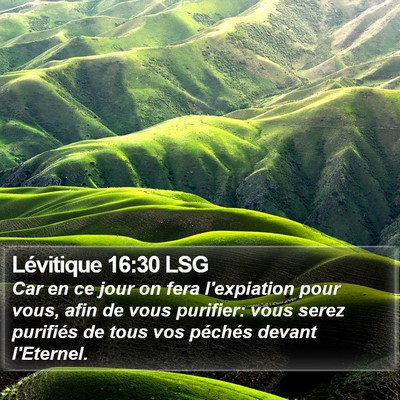 Lévitique 16:30 LSG Bible Verse Image