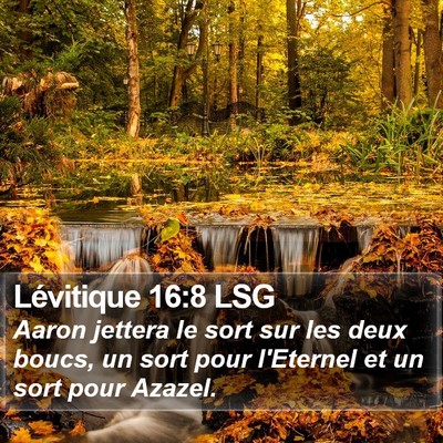 Lévitique 16:8 LSG Bible Verse Image