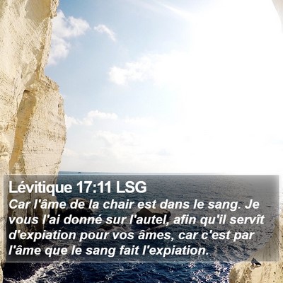 Lévitique 17:11 LSG Bible Verse Image