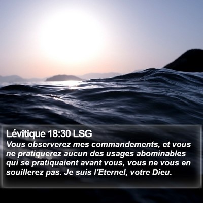 Lévitique 18:30 LSG Bible Verse Image