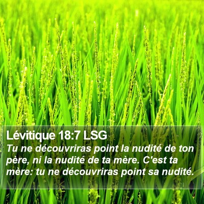 Lévitique 18:7 LSG Bible Verse Image