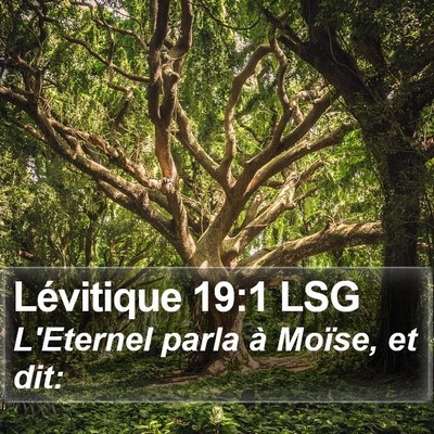 Lévitique 19:1 LSG Bible Verse Image