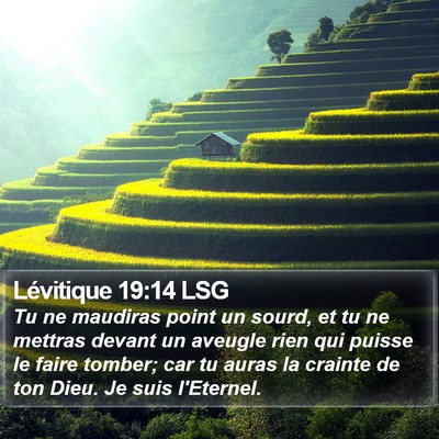 Lévitique 19:14 LSG Bible Verse Image