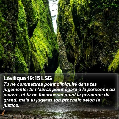 Lévitique 19:15 LSG Bible Verse Image