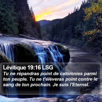 Lévitique 19:16 LSG Bible Verse Image