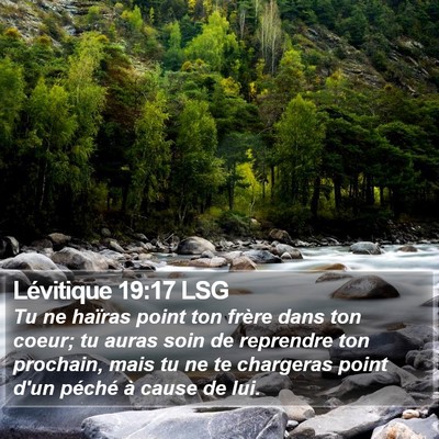 Lévitique 19:17 LSG Bible Verse Image