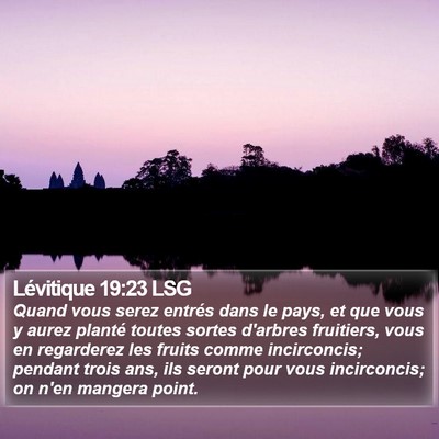 Lévitique 19:23 LSG Bible Verse Image