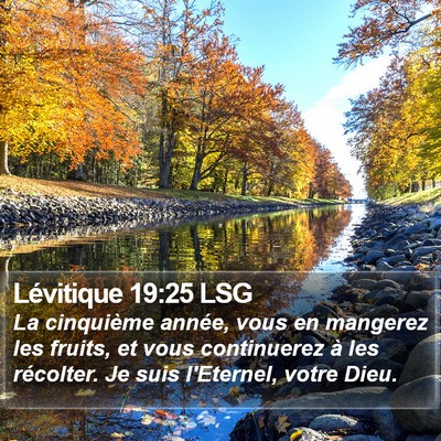 Lévitique 19:25 LSG Bible Verse Image