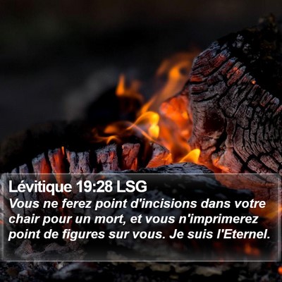 Lévitique 19:28 LSG Bible Verse Image