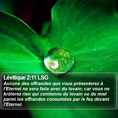 Lévitique 2:11 LSG Bible Verse Image