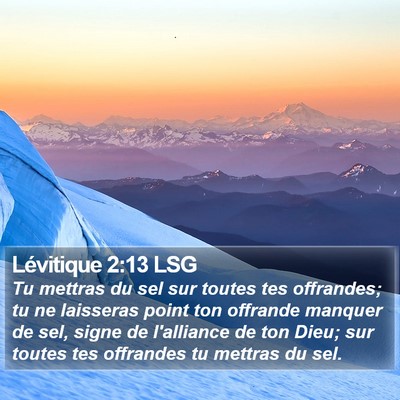 Lévitique 2:13 LSG Bible Verse Image