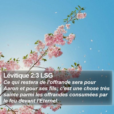 Lévitique 2:3 LSG Bible Verse Image