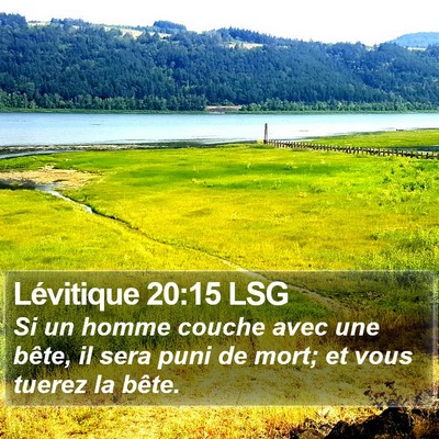 Lévitique 20:15 LSG Bible Verse Image