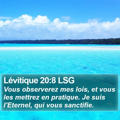 Lévitique 20:8 LSG Bible Verse Image